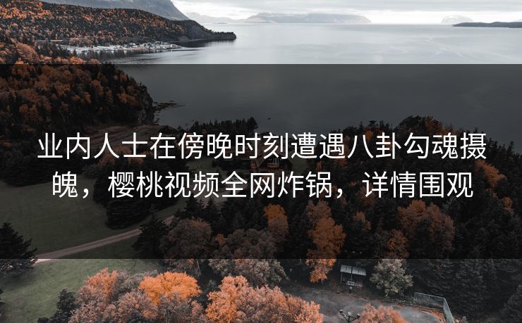 业内人士在傍晚时刻遭遇八卦勾魂摄魄,樱桃视频全网炸锅,详情围观