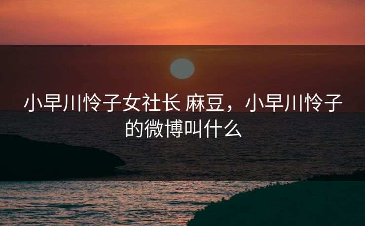 小早川怜子女社长 麻豆，小早川怜子的微博叫什么