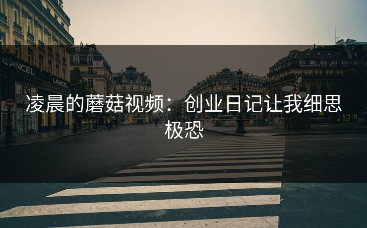凌晨的蘑菇视频：创业日记让我细思极恐